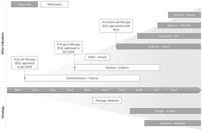 Recent Progress in European Advanced Therapy Medicinal Products and Beyond